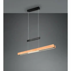 Lampes En Bois-Luminaires Trio Trajan Suspension LED Noir, 1 lumière