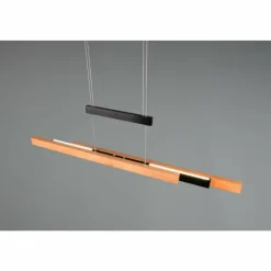 Lampes En Bois-Luminaires Trio Trajan Suspension LED Noir, 1 lumière