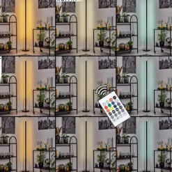 hofstein Uglestrup Lampadaire LED Noir, 1 lumière, Télécommandes, Changeur de couleurs