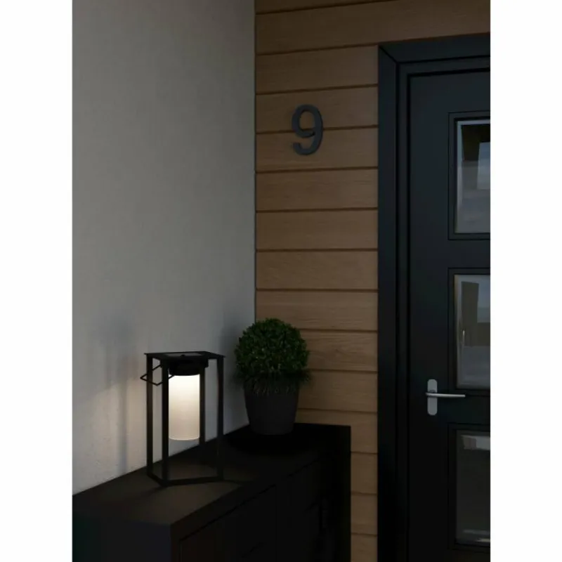 Luminaires Eglo USIGNI Luminaire extérieur LED Noir, 1 lumière