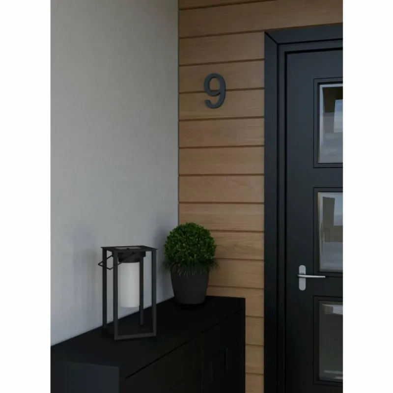 Luminaires Eglo USIGNI Luminaire extérieur LED Noir, 1 lumière