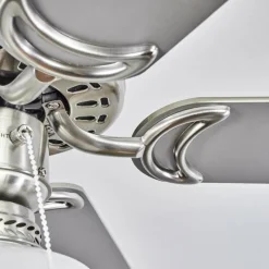 hofstein Ventilateur de plafond Apiao Brun, Couleur bois, Argenté, 1 lumière