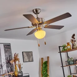 hofstein Ventilateur de plafond Apiao Brun, Couleur bois, Argenté, 1 lumière