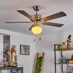 hofstein Ventilateur de plafond Apiao Brun, Couleur bois, Argenté, 1 lumière