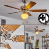 hofstein Ventilateur de plafond Apiao Brun, Couleur bois, Argenté, 1 lumière