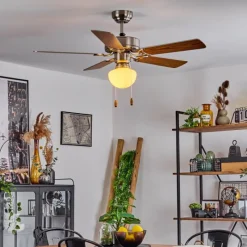 hofstein Ventilateur de plafond Apiao Brun, Couleur bois, Argenté, 1 lumière