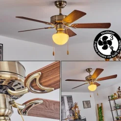 hofstein Ventilateur de plafond Apiao Brun, Brun clair, Couleur bois, Argenté, 1 lumière
