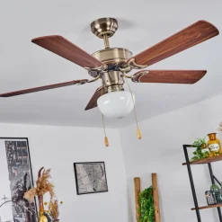 hofstein Ventilateur de plafond Apiao Brun, Brun clair, Couleur bois, Argenté, 1 lumière