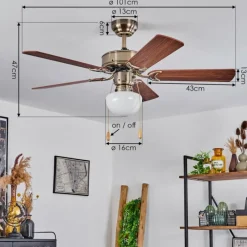 hofstein Ventilateur de plafond Apiao Brun, Brun clair, Couleur bois, Argenté, 1 lumière