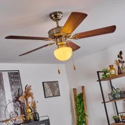 hofstein Ventilateur de plafond Apiao Brun, Brun clair, Couleur bois, Argenté, 1 lumière