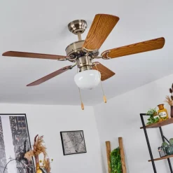 hofstein Ventilateur de plafond Apiao Brun, Brun clair, Couleur bois, Argenté, 1 lumière