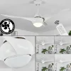 hofstein Ventilateur de plafond Malloa LED Blanc, 1 lumière, Télécommandes