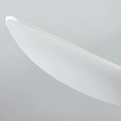 hofstein Ventilateur de plafond Malloa LED Blanc, 1 lumière, Télécommandes