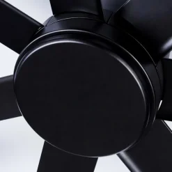 hofstein Ventilateur de plafond Aargaard Noir, Télécommandes