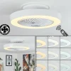 hofstein Ventilateur de plafond Azenha LED Blanc, 1 lumière, Télécommandes