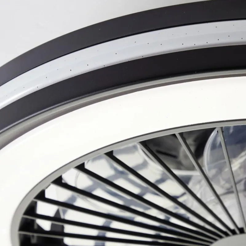 Luminaires Brilliant Ventilateur de plafond Brilliant Palmero Noir, 1 lumière, Télécommandes, Changeur de couleurs