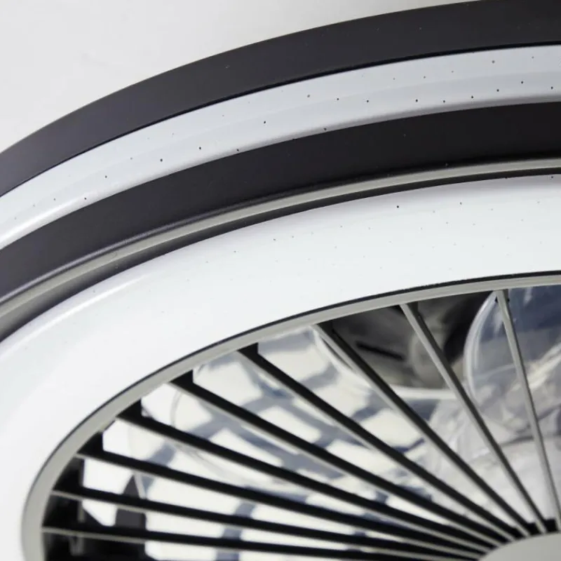 Luminaires Brilliant Ventilateur de plafond Brilliant Palmero Noir, 1 lumière, Télécommandes, Changeur de couleurs