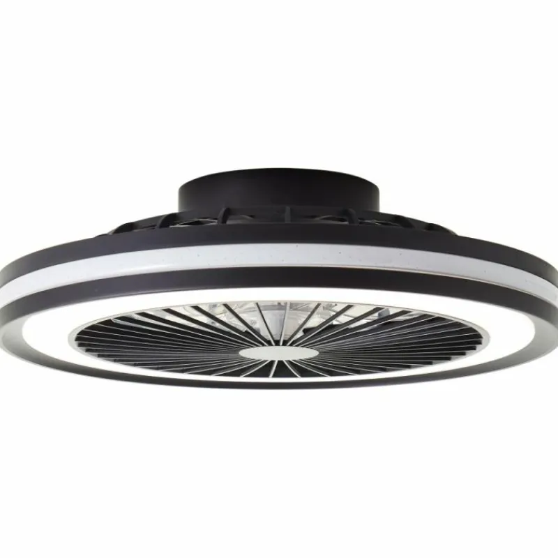 Luminaires Brilliant Ventilateur de plafond Brilliant Palmero Noir, 1 lumière, Télécommandes, Changeur de couleurs