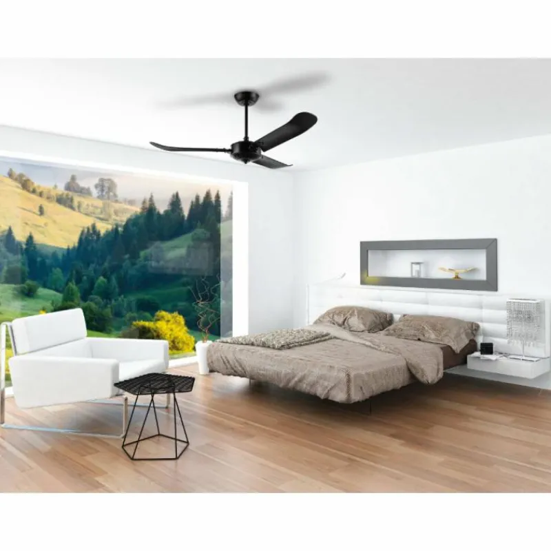 Luminaires Eglo Ventilateur de plafond Eglo HOI AN Noir, Télécommandes