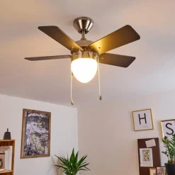 hofstein Ventilateur de plafond Ellmau Chrome, Gris, Blanc, 1 lumière