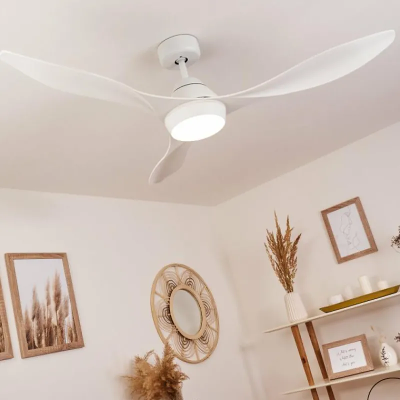 hofstein Ventilateur de plafond Follseland LED Blanc, 1 lumière, Télécommandes