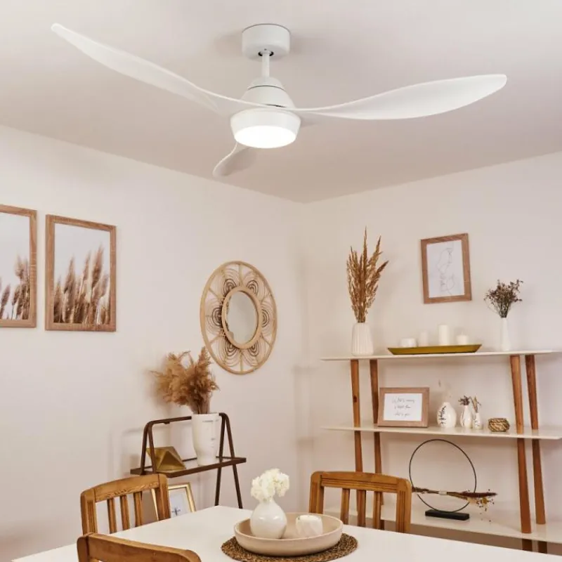 hofstein Ventilateur de plafond Follseland LED Blanc, 1 lumière, Télécommandes