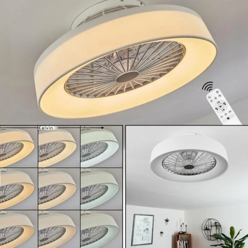 hofstein Ventilateur de plafond Moli LED Blanc, 1 lumière, Télécommandes