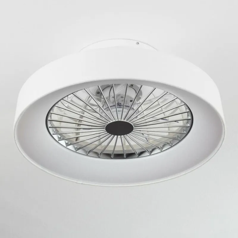 hofstein Ventilateur de plafond Moli LED Blanc, 1 lumière, Télécommandes