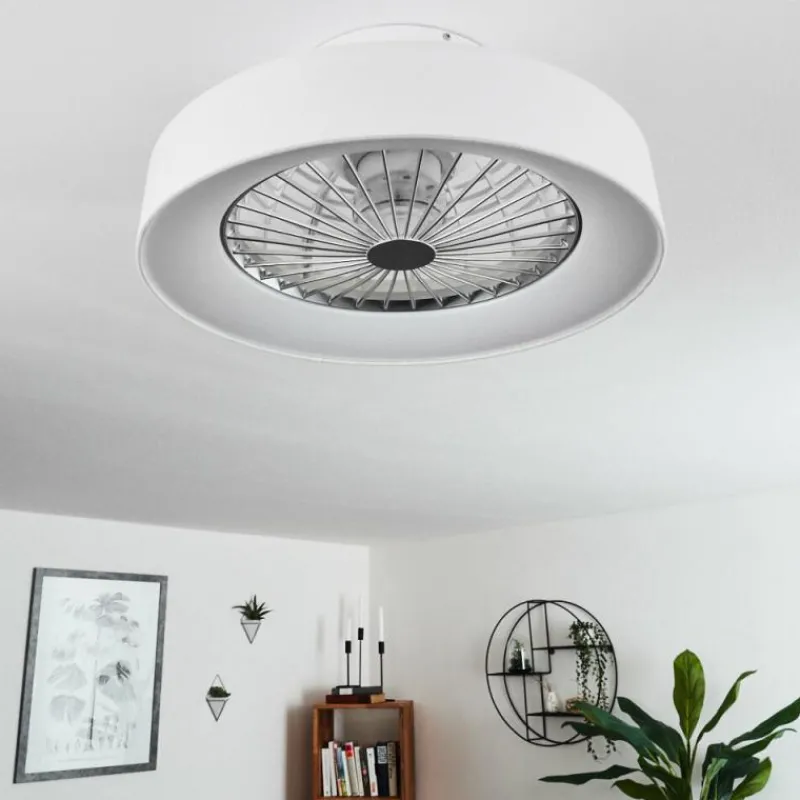hofstein Ventilateur de plafond Moli LED Blanc, 1 lumière, Télécommandes