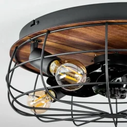 hofstein Ventilateur de plafond Moscavide Brun, Couleur bois, Noir, 4 lumières, Télécommandes