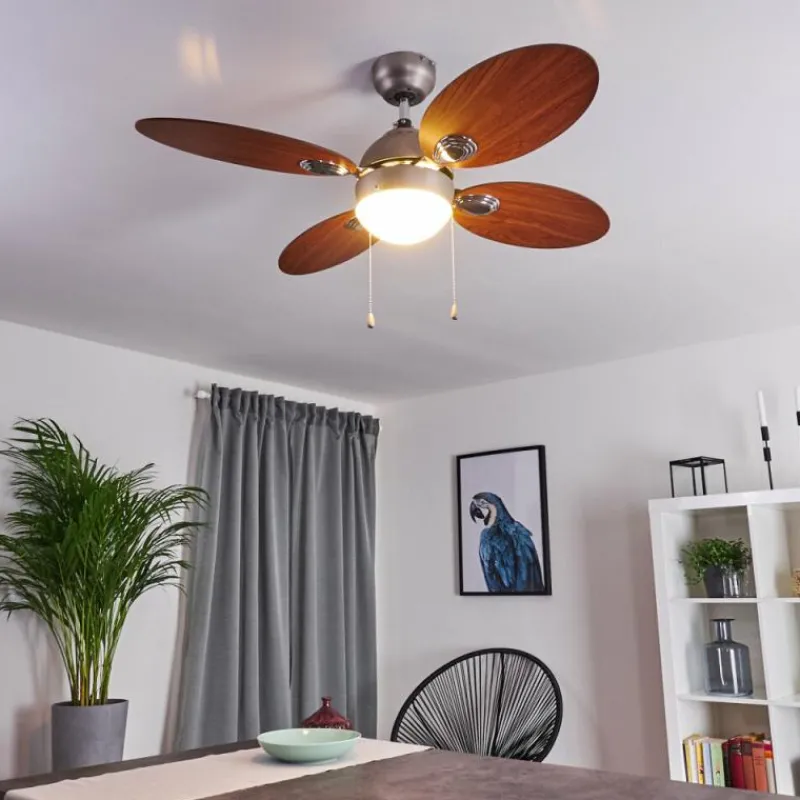 hofstein Ventilateur de plafond Nicosia Bois foncé, Nickel mat, 1 lumière