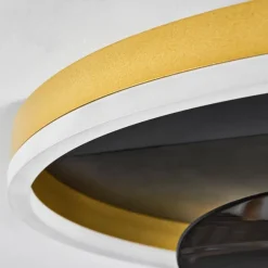 hofstein Ventilateur de plafond Oleiro LED Or, Noir, Blanc, 1 lumière, Télécommandes