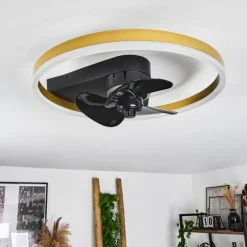 hofstein Ventilateur de plafond Oleiro LED Or, Noir, Blanc, 1 lumière, Télécommandes