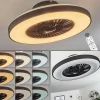 hofstein Ventilateur de plafond Qualiano LED Noir, Blanc, 1 lumière, Télécommandes