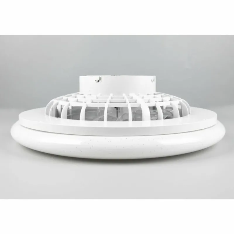 Luminaires Reality Ventilateur de plafond Reality Stralsund LED Titane, 2 lumières, Télécommandes