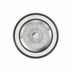 Luminaires Reality Ventilateur de plafond Reality Flaga LED Noir, 1 lumière, Télécommandes