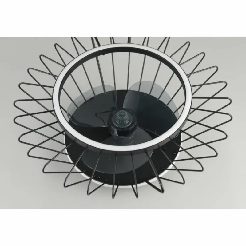 Luminaires Reality Ventilateur de plafond Reality KARLSBORG LED Noir, 1 lumière, Télécommandes