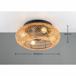 Luminaires Reality Ventilateur de plafond Reality LILLESAND Noir, 4 lumières, Télécommandes