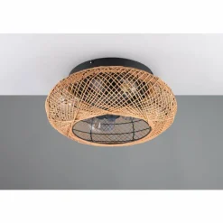 Luminaires Reality Ventilateur de plafond Reality LILLESAND Noir, 4 lumières, Télécommandes