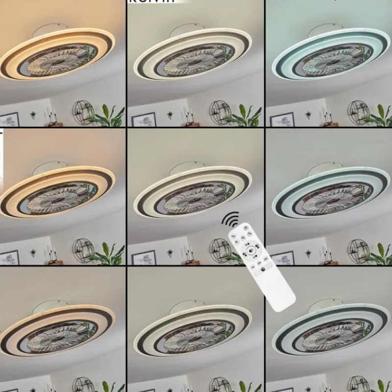 hofstein Ventilateur de plafond Terradura LED Chrome, Noir, Blanc, 1 lumière, Télécommandes