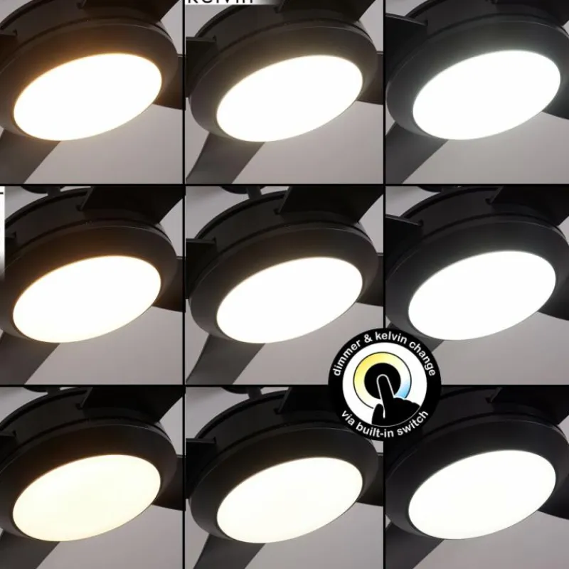 hofstein Ventilateur de plafond Tjerne LED Noir, 1 lumière, Télécommandes