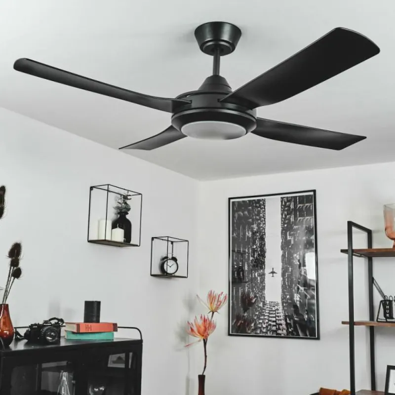 hofstein Ventilateur de plafond Tjerne LED Noir, 1 lumière, Télécommandes