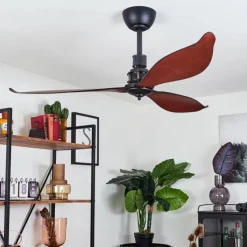 hofstein Ventilateur de plafond Torgnes Brun, Couleur bois, Noir, Télécommandes