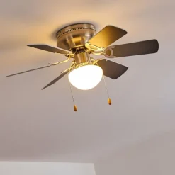 hofstein Ventilateur de plafond Trillo Gris, Nickel mat, Blanc, 1 lumière