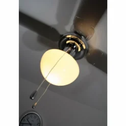 Luminaires Globo Lighting Ventilateur Globo CHAMPION Chrome, Acier inoxydable, Blanc, 1 lumière