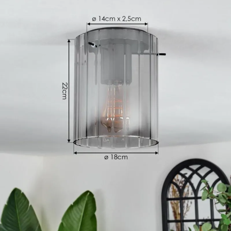 hofstein Vireda Plafonnier, Spot de plafond Noir, 1 lumière