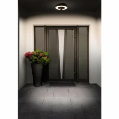 Luminaires Ledvance WIF Lampe murale d´extérieur LED Gris, 1 lumière